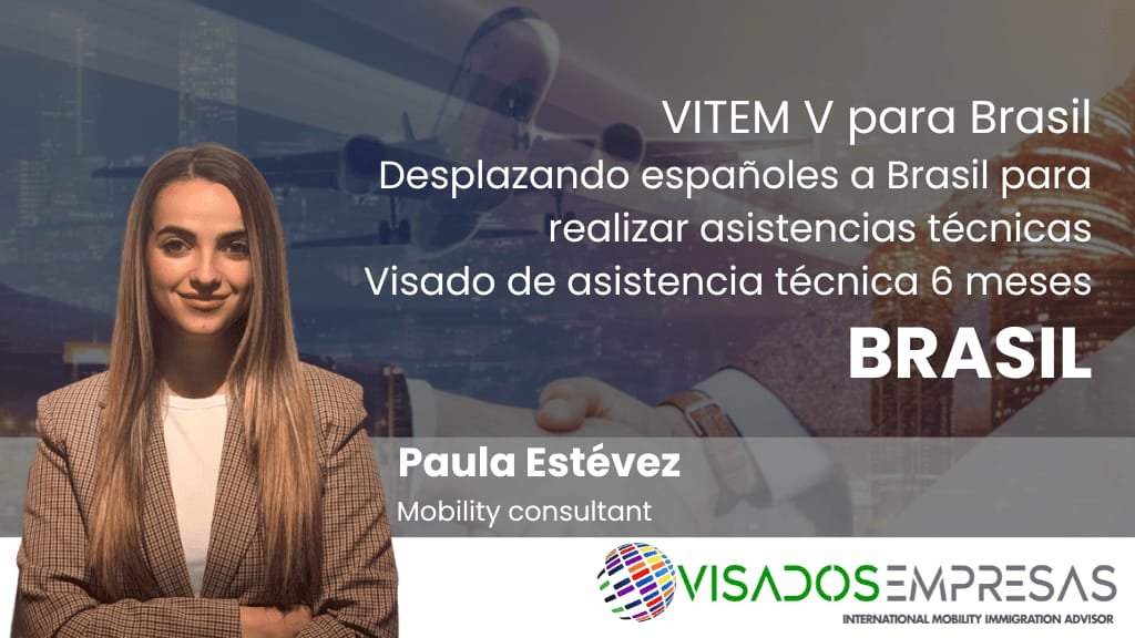 VITEM V Brasil visado de asistencia técnica